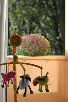 Cleaning serive Hamilton, ON