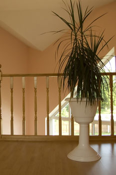 Helping Seniors with their home maintenance